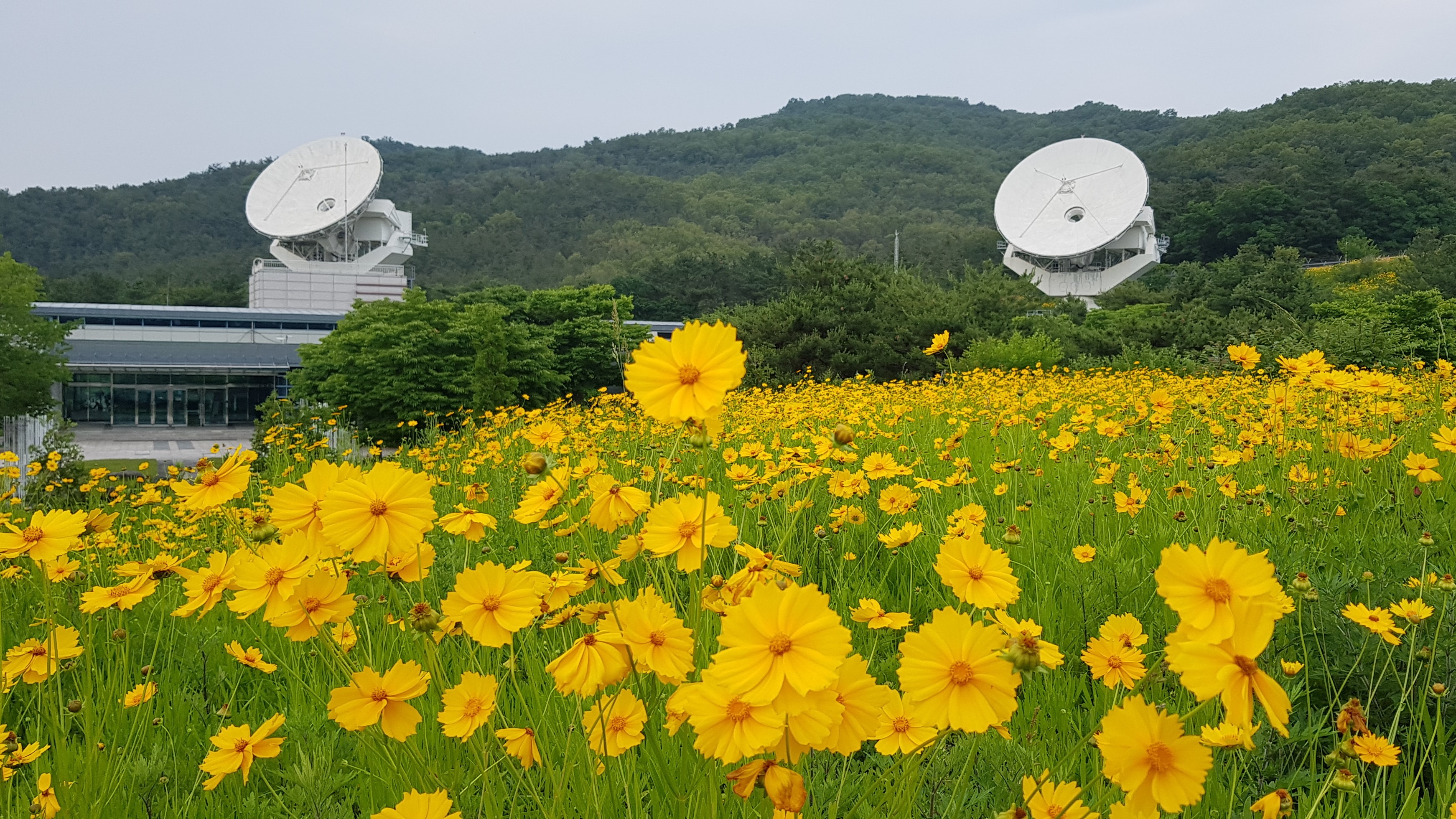 위성전파감시센터 버드뷰